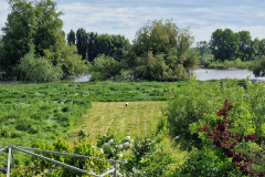 WhatsApp-Bild-2025-05-28-um-14.17.54_4261dab3