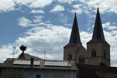 photo_2025-05-18_12-00-52